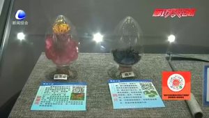 【民生事業(yè)“廊坊速度”】我市再添兩大高標準教育展館