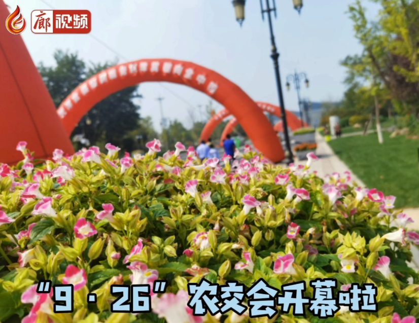 廊視頻 | 吃貨帶你逛展會——“9·26”農交會