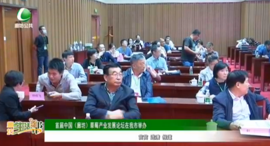 首屆中國（廊坊）草莓產(chǎn)業(yè)發(fā)展論壇在我市舉辦