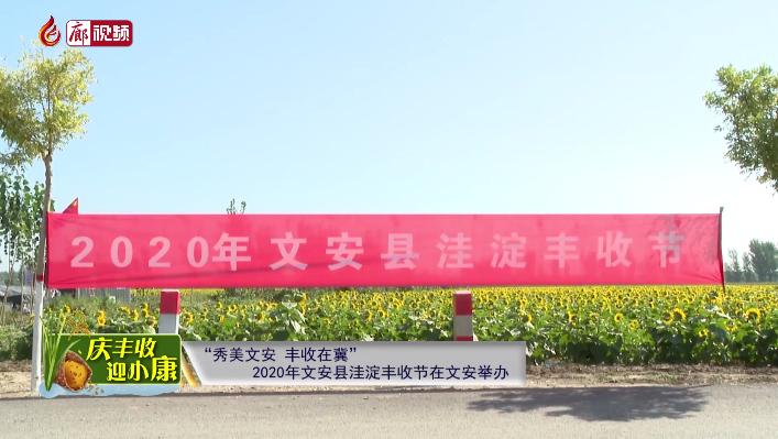  廊視頻 | “慶豐收迎小康”——“秀美文安，豐收在冀”2020年文安縣洼淀豐