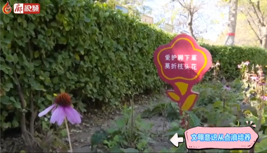  廊視頻 | 文明意識從點(diǎn)滴培養(yǎng)