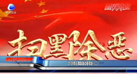 2020年掃黑除惡必備知識（二）