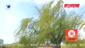 雨后的廊坊 真美！
