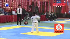 廊坊市跆拳道協(xié)會(huì)第六屆全民健身跆拳道大眾賽拉開(kāi)順利舉辦