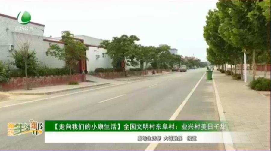 【走向我們的小康生活】全國文明村東阜村：興業(yè)村美日子甜