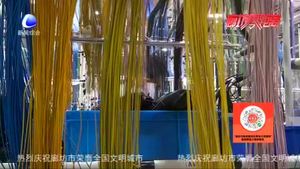 【惠民生】三河市廊坊萊尼：生產(chǎn)滿負(fù)荷 穩(wěn)崗保就業(yè)