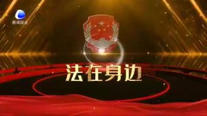 【法在身邊】瞞報(bào) 謊報(bào)疫情 要付出怎樣的代價(jià)？