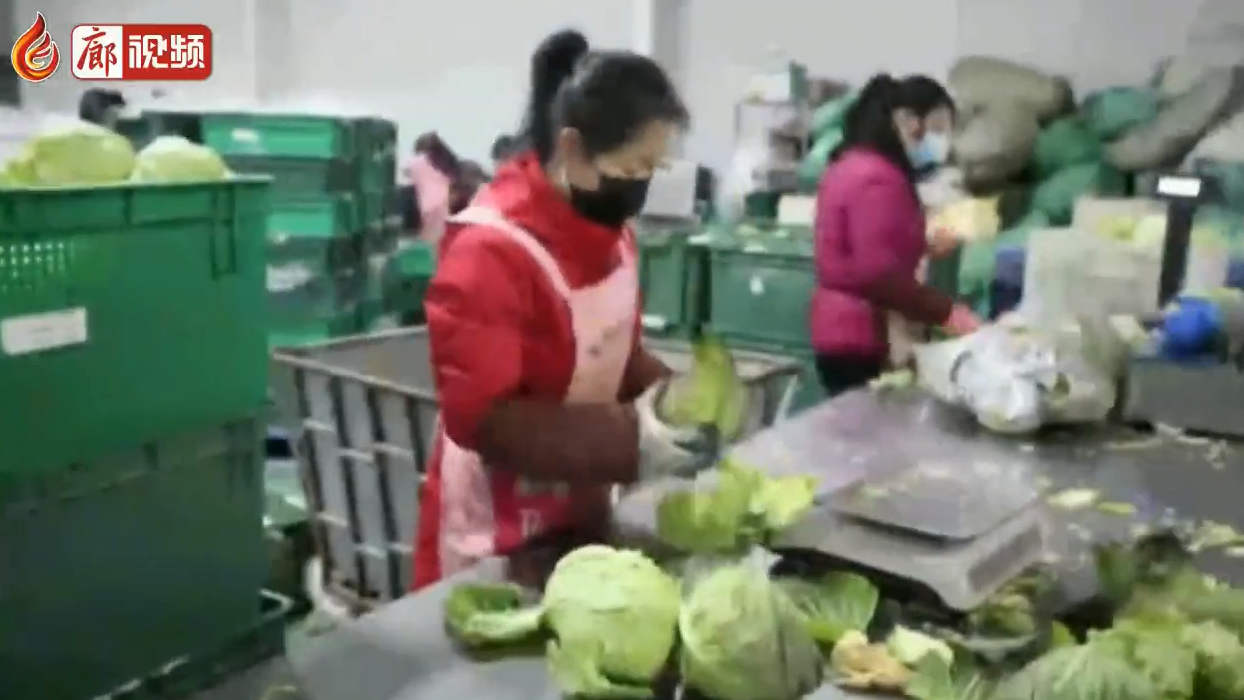 廊視頻 | 河北固安實行封閉管理保障生活必需品供應(yīng)