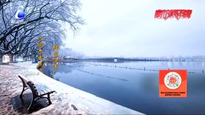 飄雪滿(mǎn)空來(lái) 觸處似花開(kāi)