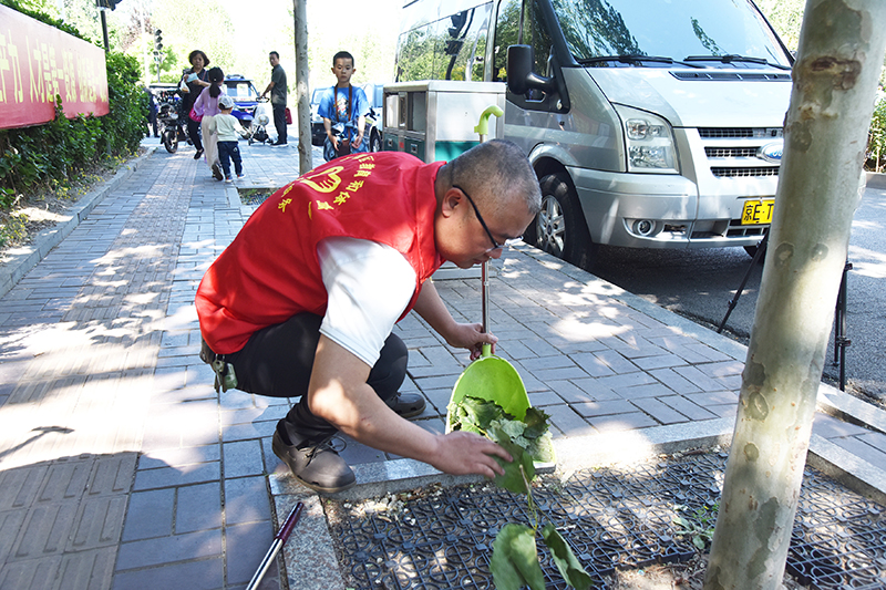 圖為廣陽區(qū)黨員干部開展志愿服務(wù)活動.jpg